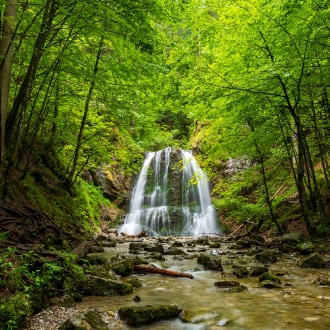 Documentari naturalistici