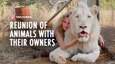 Reunion of animals with their owners