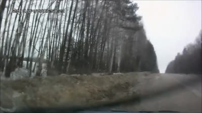 Eile und Unachtsamkeit am Steuer