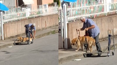 Este anciano saca a su perro paralítico a pasear cada día