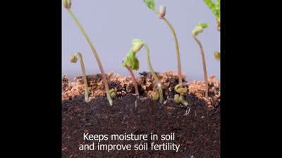 Food and Trash Recycling Hacks