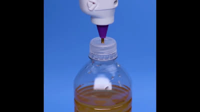 ¡20 trucos de jardinería que te volarán la cabeza!