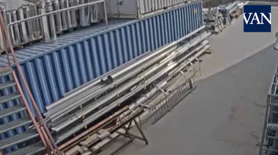 Varios jabalíes saltan de una azotea