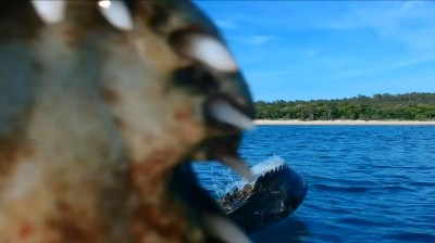 A crocodile attacks a drone in flight!