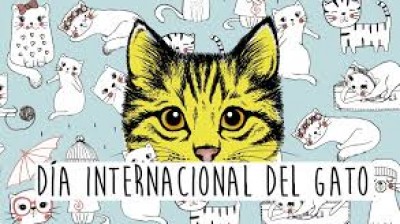 ¡Hoy es el Día Internacional del Gato!