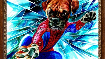 Spider-dog, le chien super héro
