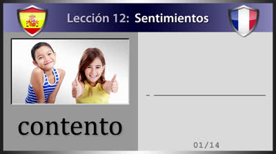 Los sentimientos en francés - Lección 12