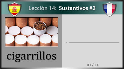 French nouns - Lesson 14 (Part 2)