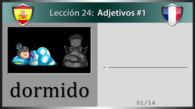 French Adjectives - Lesson 24 (Part 1)