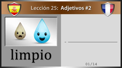 Adjetivos en francés - Lección 25 (Parte 2)