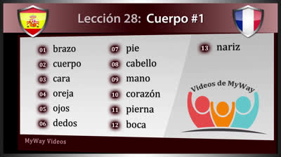 Parts of the Body in French - Lesson 28 (Part 1)