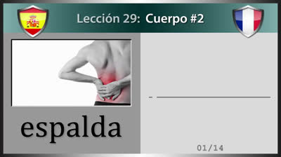 Parts of the Body in French - Lesson 29 (Part 2)