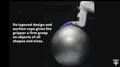 We accept Octopus as a Robot