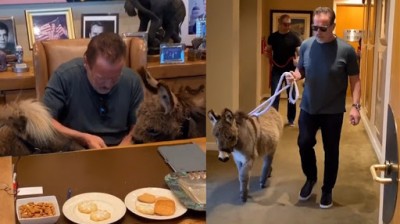 Arnold Schwarzenegger, his pony and donkey ask us to respect the quarantine