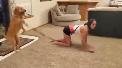 Un chien qui balade un humain. Un monde à l'envers ?