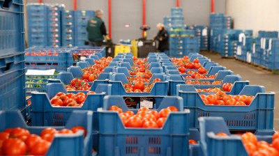 El campo necesita 100.000 trabajadores