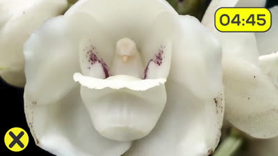 Thirty fun facts you were not aware of - 1