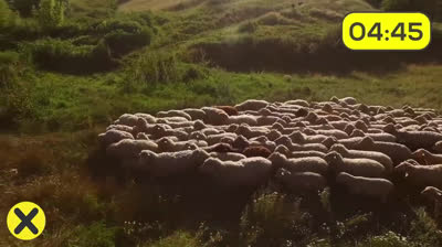 Treinta curiosidades que no conocías - 2