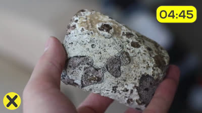 Thirty fun facts you were not aware of - 21