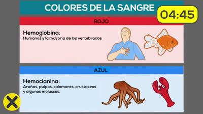 Twenty-five fun facts you were not aware of - 4