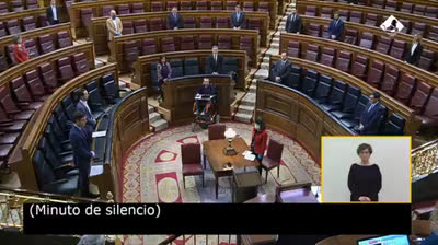 Congreso de los Diputados Minuto de Silencio 9 de Abril