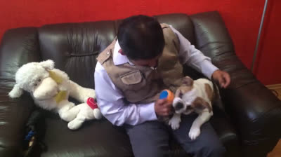 How to avoid dog bites