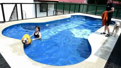 Canine luxury hotel in Singapore