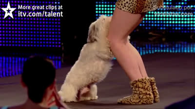 Talent contest with my dog