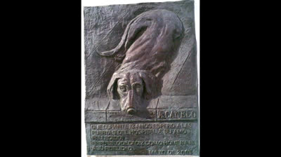 The incredible story of Canelo, the faithful dog