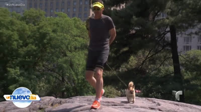 Gobi, the little athlete who won over the heart of a runner