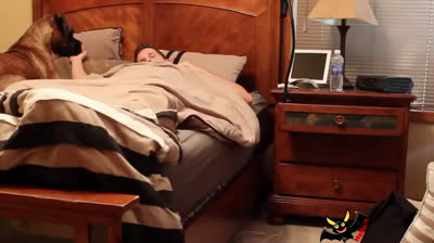 Cani esperti che svegliano i loro padroni