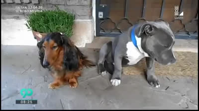 Alla ricerca del colpevole