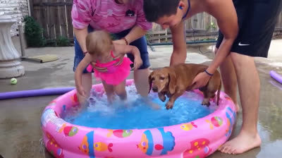 Bebés y perros jugando con agua