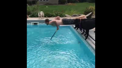 Video divertenti di cani contro l'acqua