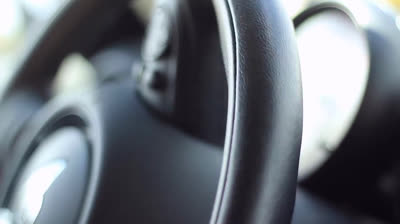 How to make your dog used to the car