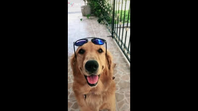 Banana ft Shaggy @dssarmiento