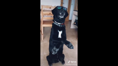 Banana ft Shaggy @ninamartinez513