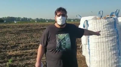 Trabajo esclavo en el campo andaluz