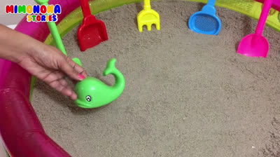 Didactic games on the beach