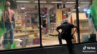 Thief escaping from police in the United States