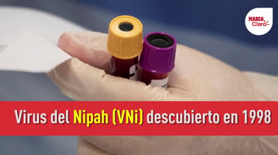 What is the Nipah virus? - Explanation