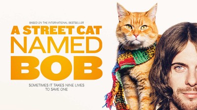 Trailer of 'A Street Cat Named Bob', based on the bestseller of the same name.