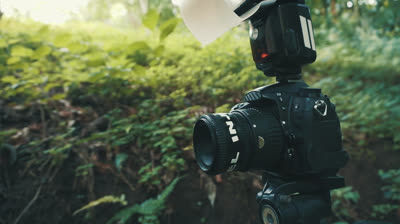 Macro Photography - Tips