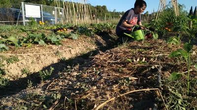 Un día normal de trabajo en el huerto