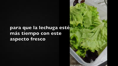 Cómo limpiar la lechuga del huerto