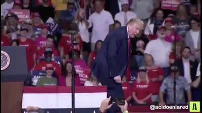 Donald Trump de la Calzada