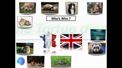 Los animales en francés