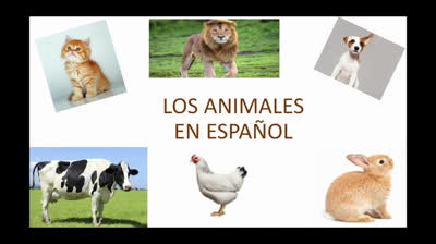 Aprendiendo español. Los animales