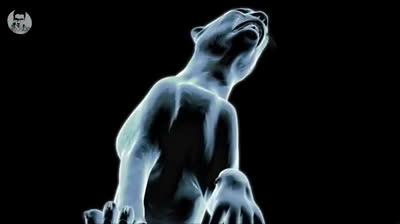 The world's fastest animals