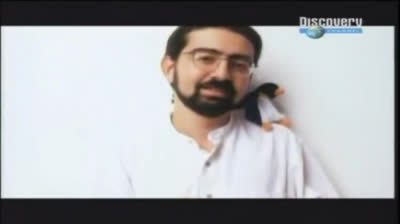 Amazon y Ebay. Dos gigantes del e-commerce